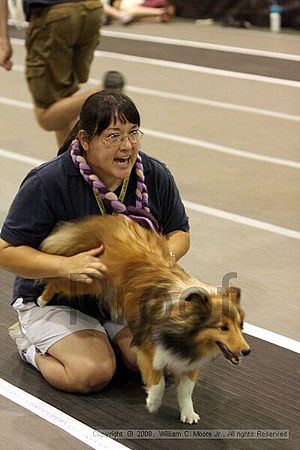 Dawg Derby Flyball Tournement<br />July 12<br />Classic Center<br />Athens, Ga