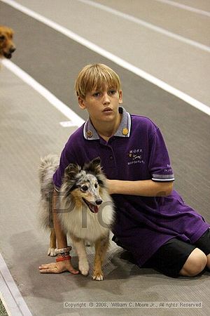 Dawg Derby Flyball Tournement<br />July 12<br />Classic Center<br />Athens, Ga