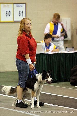 Dawg Derby Flyball Tournement<br />July 12<br />Classic Center<br />Athens, Ga