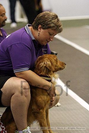 Dawg Derby Flyball Tournement<br />July 12<br />Classic Center<br />Athens, Ga