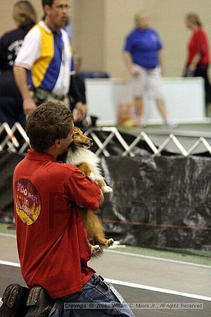 Dawg Derby Flyball Tournement<br />July 12<br />Classic Center<br />Athens, Ga