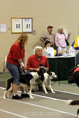Dawg Derby Flyball Tournement<br />July 12<br />Classic Center<br />Athens, Ga