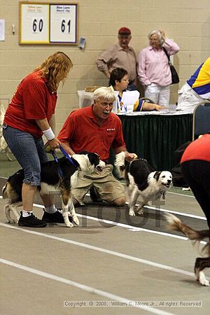 Dawg Derby Flyball Tournement<br />July 12<br />Classic Center<br />Athens, Ga