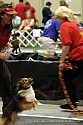 img_4770_thm.jpg