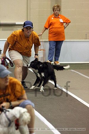 Dawg Derby Flyball Tournement<br />July 12<br />Classic Center<br />Athens, Ga