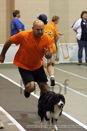 Dawg Derby Flyball Tournement<br />July 12<br />Classic Center<br />Athens, Ga