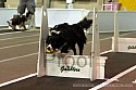img_4794_thm.jpg