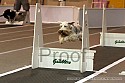 img_4796_thm.jpg