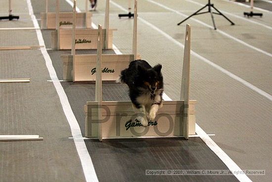 Dawg Derby Flyball Tournement<br />July 12<br />Classic Center<br />Athens, Ga