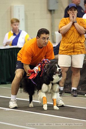 Dawg Derby Flyball Tournement<br />July 12<br />Classic Center<br />Athens, Ga