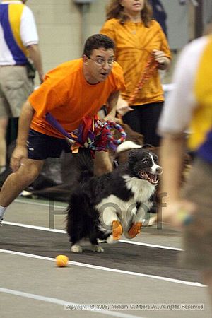 Dawg Derby Flyball Tournement<br />July 12<br />Classic Center<br />Athens, Ga