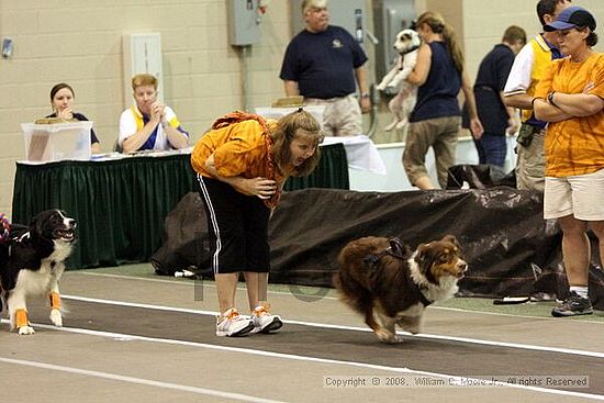 Dawg Derby Flyball Tournement<br />July 12<br />Classic Center<br />Athens, Ga