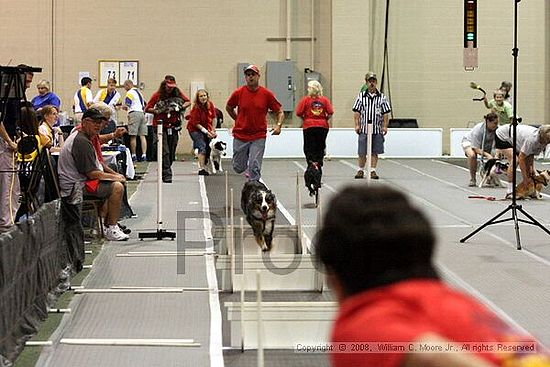 Dawg Derby Flyball Tournement<br />July 12<br />Classic Center<br />Athens, Ga