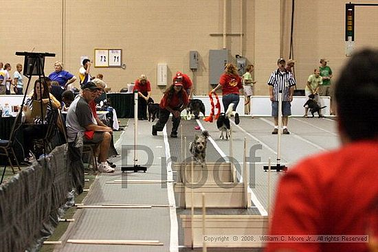 Dawg Derby Flyball Tournement<br />July 12<br />Classic Center<br />Athens, Ga