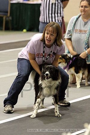Dawg Derby Flyball Tournement<br />July 12<br />Classic Center<br />Athens, Ga
