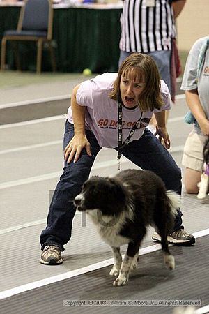 Dawg Derby Flyball Tournement<br />July 12<br />Classic Center<br />Athens, Ga