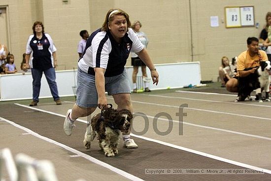 Dawg Derby Flyball Tournement<br />July 12<br />Classic Center<br />Athens, Ga