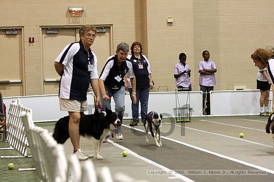 Dawg Derby Flyball Tournement<br />July 12<br />Classic Center<br />Athens, Ga