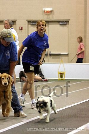 Dawg Derby Flyball Tournement<br />July 12<br />Classic Center<br />Athens, Ga
