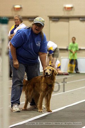 Dawg Derby Flyball Tournement<br />July 12<br />Classic Center<br />Athens, Ga