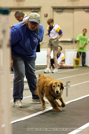 Dawg Derby Flyball Tournement<br />July 12<br />Classic Center<br />Athens, Ga