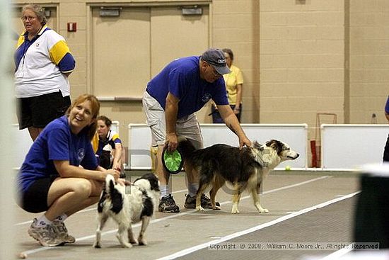 Dawg Derby Flyball Tournement<br />July 12<br />Classic Center<br />Athens, Ga