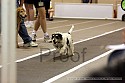 img_4952_thm.jpg