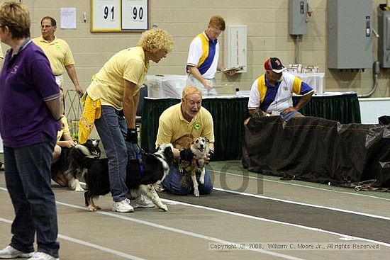 Dawg Derby Flyball Tournement<br />July 12<br />Classic Center<br />Athens, Ga