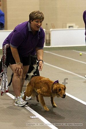 Dawg Derby Flyball Tournement<br />July 12<br />Classic Center<br />Athens, Ga