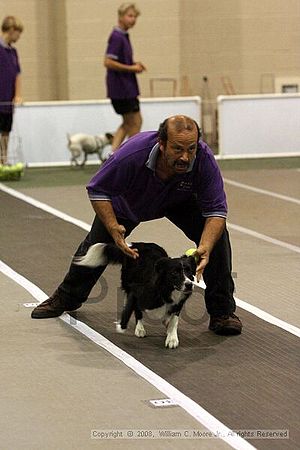 Dawg Derby Flyball Tournement<br />July 12<br />Classic Center<br />Athens, Ga