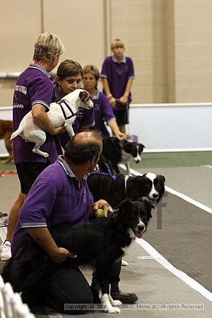 Dawg Derby Flyball Tournement<br />July 12<br />Classic Center<br />Athens, Ga