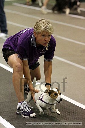 Dawg Derby Flyball Tournement<br />July 12<br />Classic Center<br />Athens, Ga