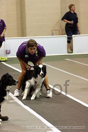 Dawg Derby Flyball Tournement<br />July 12<br />Classic Center<br />Athens, Ga