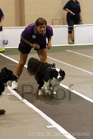 Dawg Derby Flyball Tournement<br />July 12<br />Classic Center<br />Athens, Ga