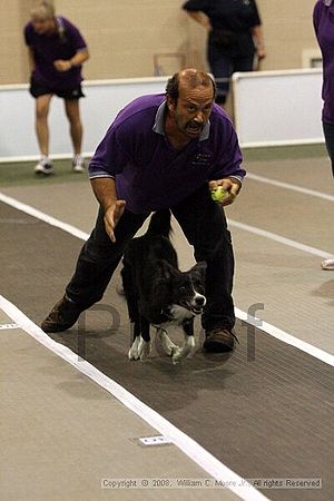 Dawg Derby Flyball Tournement<br />July 12<br />Classic Center<br />Athens, Ga