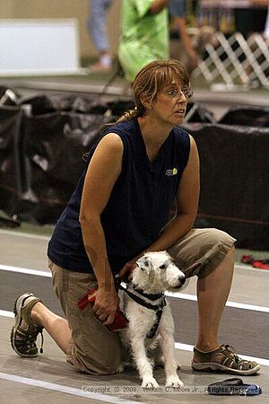 Dawg Derby Flyball Tournement<br />July 12<br />Classic Center<br />Athens, Ga