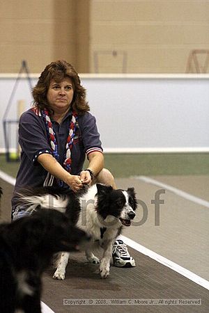 Dawg Derby Flyball Tournement<br />July 12<br />Classic Center<br />Athens, Ga