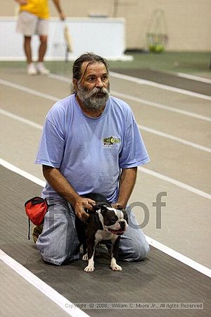 Dawg Derby Flyball Tournement<br />July 12<br />Classic Center<br />Athens, Ga