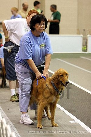 Dawg Derby Flyball Tournement<br />July 12<br />Classic Center<br />Athens, Ga