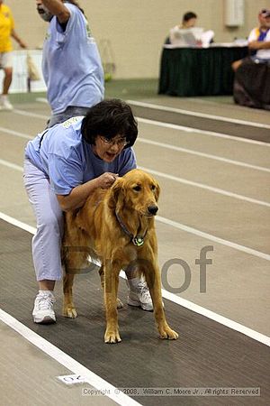 Dawg Derby Flyball Tournement<br />July 12<br />Classic Center<br />Athens, Ga