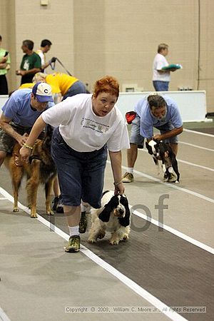 Dawg Derby Flyball Tournement<br />July 12<br />Classic Center<br />Athens, Ga