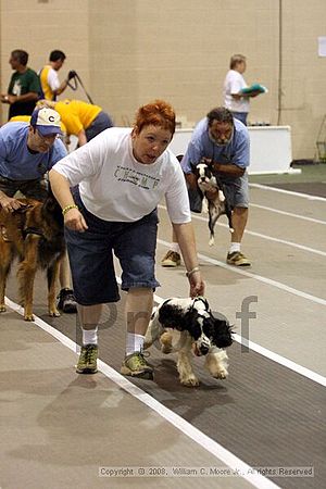 Dawg Derby Flyball Tournement<br />July 12<br />Classic Center<br />Athens, Ga