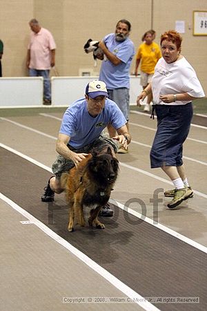 Dawg Derby Flyball Tournement<br />July 12<br />Classic Center<br />Athens, Ga