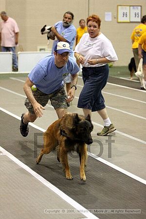 Dawg Derby Flyball Tournement<br />July 12<br />Classic Center<br />Athens, Ga