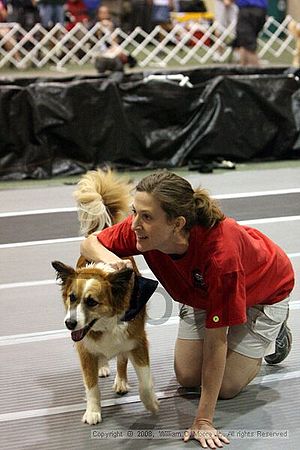 Dawg Derby Flyball Tournement<br />July 12<br />Classic Center<br />Athens, Ga