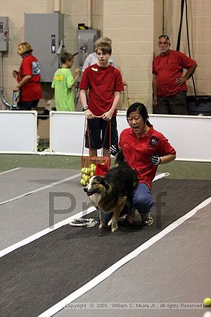 Dawg Derby Flyball Tournement<br />July 12<br />Classic Center<br />Athens, Ga