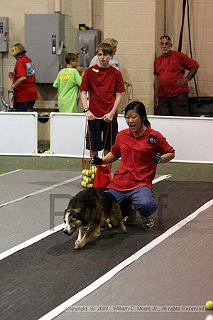 Dawg Derby Flyball Tournement<br />July 12<br />Classic Center<br />Athens, Ga