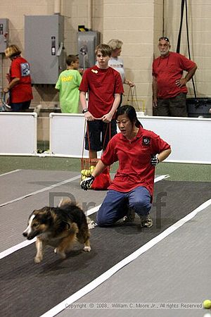 Dawg Derby Flyball Tournement<br />July 12<br />Classic Center<br />Athens, Ga