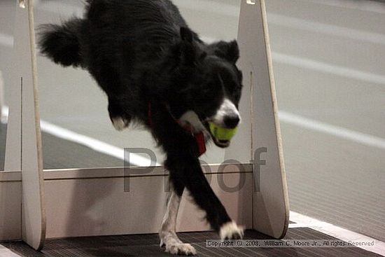 Dawg Derby Flyball Tournement<br />July 12<br />Classic Center<br />Athens, Ga