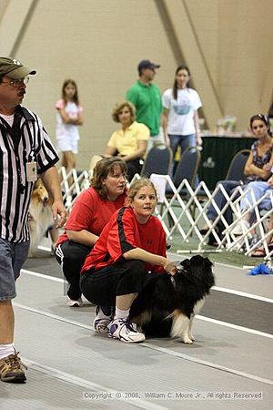 Dawg Derby Flyball Tournement<br />July 12<br />Classic Center<br />Athens, Ga